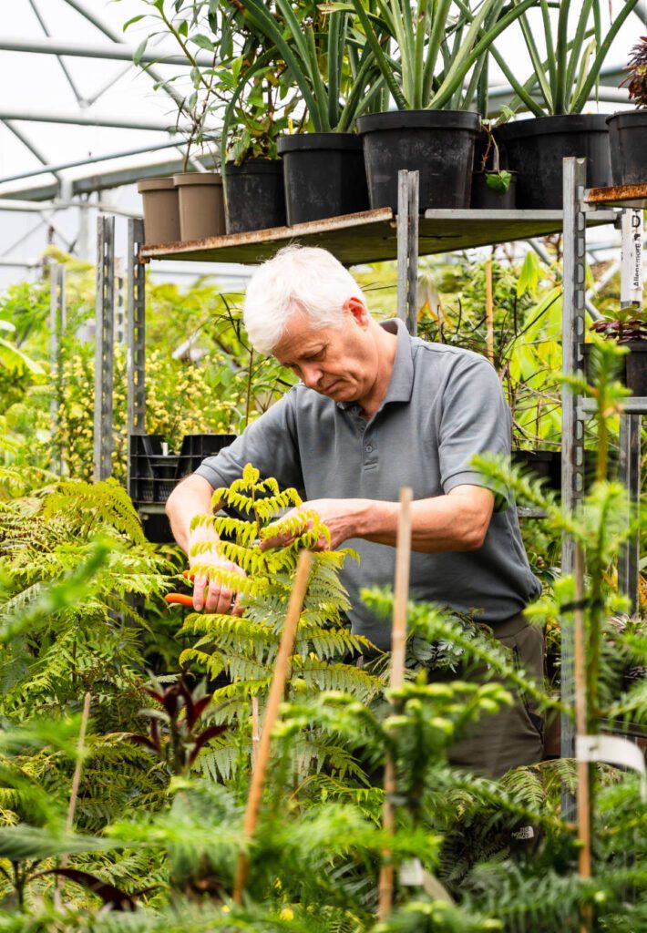 Fern Farming Co Kerry