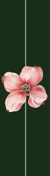 Flower Line Icon