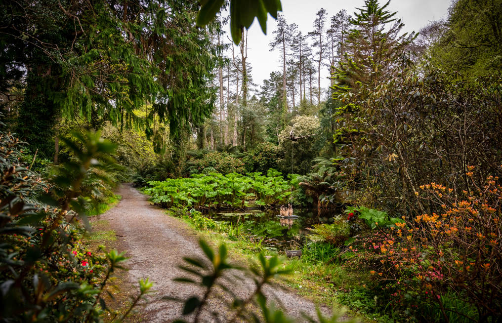 The Bog Walk Kells Bay