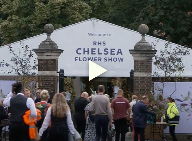 vid 0001 RTE Television Chelsea